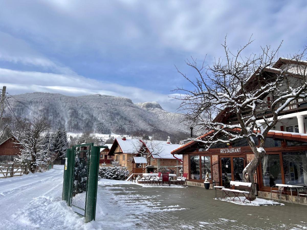 Hotel Casa Centiu Bran  Exteriér fotografie